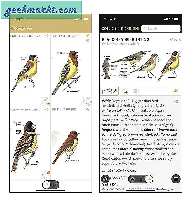 Beste vogelapps 2020 (Android en iOS)